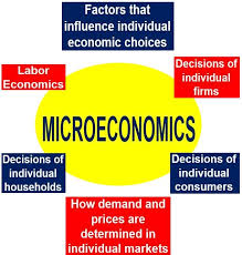 MICRO ECONOMICS I , ECO1 B01